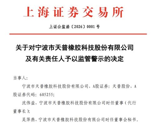 AI软件开发公司突遭证监会立案调查，行业监管风暴或将开启