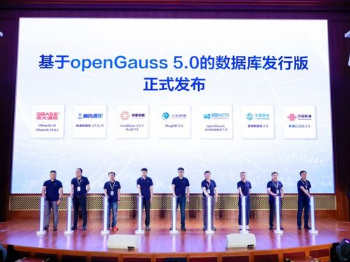 昇腾AI面向人工智能三大开发场景提升效率 鲲鹏昇腾开发者峰会2023举办 人工智能应用软件开发